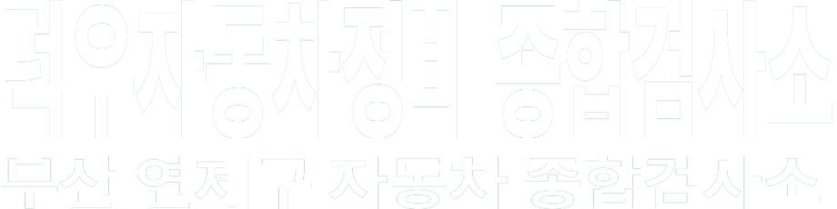 덕우자동차정비 종합검사소 화이트 로고 이미지